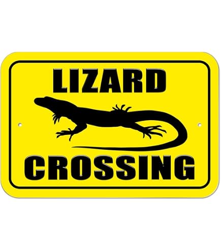 LIZARD/Same＋ステッカー【24bit デジタル・リマスタリング盤】 Amazon.com: GRAPHICS & MORE Plastic Sign Lizard Crossing - 6
